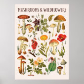 Tableau mural de champignons et de fleurs sauvages (Devant)