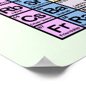 Tableau périodique des oiseaux (Coin)