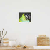 Tableau photo de Nanday Conure Parrot (Cuisine)