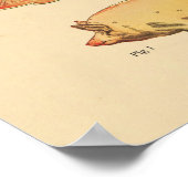 Tableau vétérinaire d'anatomie du squelette (Coin)