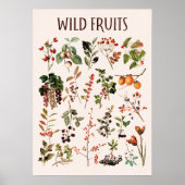 Tableau vintage de fruits sauvages Art mural (Devant)
