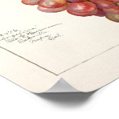 Tableau vintage de raisins rouges (Coin)