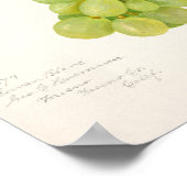 Tableau vintage de raisins verts (Coin)