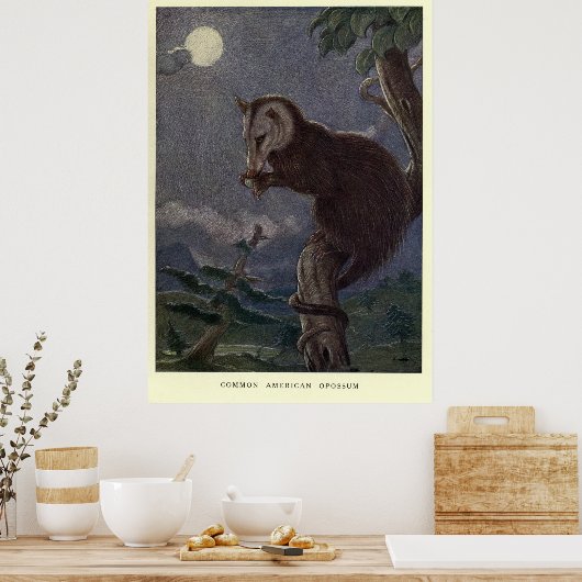 Tableau vintage Possum (1909) (Cuisine)
