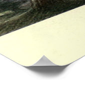 Tableau vintage Possum (1909) (Coin)