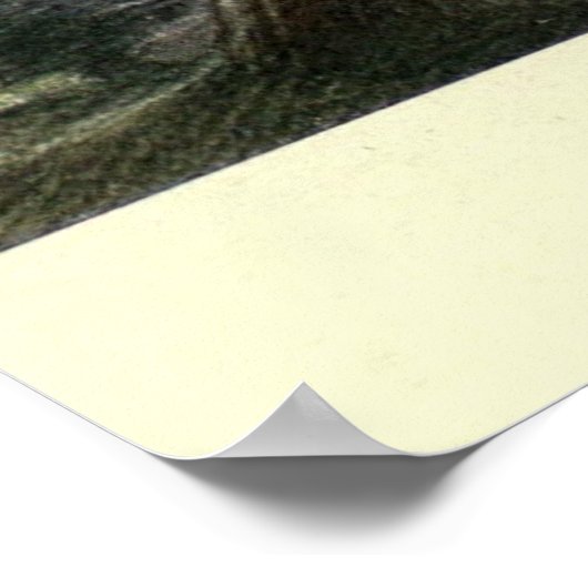 Tableau vintage Possum (1909) (Coin)