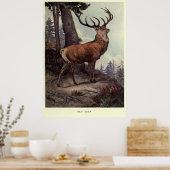 Tableau vintage Red Deer (1909) (Cuisine)