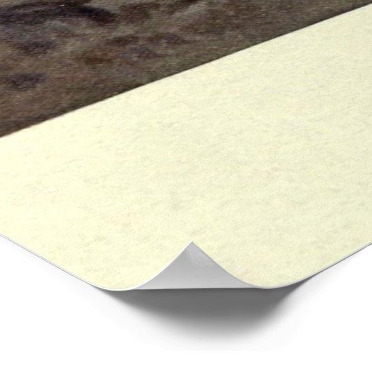 Tableau vintage Red Deer (1909) (Coin)