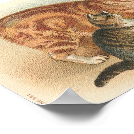 tablet met Kittens Poster (Hoek)