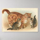 tablet met Kittens Poster (Voorkant)