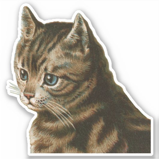 tablet sticker (Voorkant)