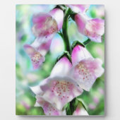 Tablette Plaque Foxglove Art dans les couleurs pas (Devant)