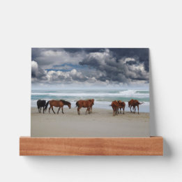 Tablette Pour Photos Chevaux sauvages Banques extérieures OBX Corolla N