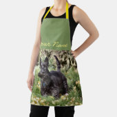 Tablier Ach (Insitu)