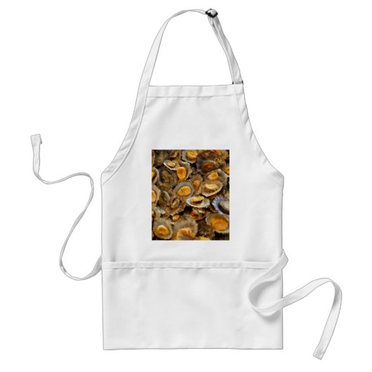 Tablier Açores limpets "lapas" apron (Devant)