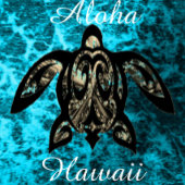 Tablier Aloha Hawaii