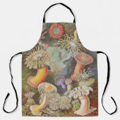 Tablier Anemone Apron (Recto)