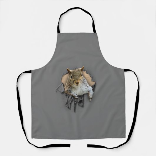 Tablier Apron d'écureuil-chemise arraché (Recto)