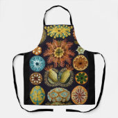 Tablier Ascidiae par Ernst Haeckel, Animaux marins Vintage (Recto)