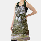 Tablier Avenue des Chênes, Caroline du Sud (Insitu)