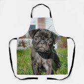 Tablier B ; chiot en Carlin rack (Recto)
