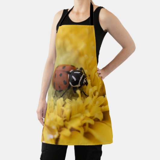 Tablier Bague (Insitu)