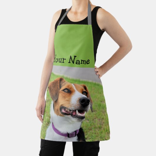 Tablier Beagle (Insitu)