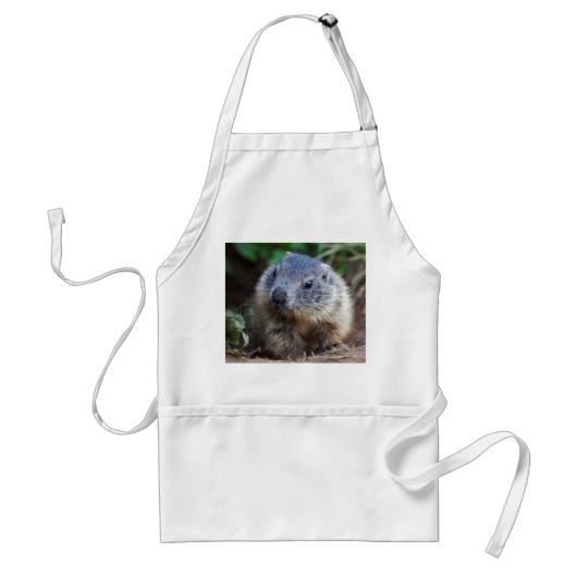 Tablier bébé marmotte curieuse (Devant)