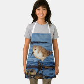 Tablier Belle Bécasseau De Sanderling Marche Les Rives D'A (Insitu)