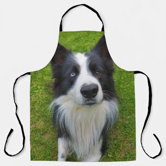 Tablier Bordure Collie (Recto)
