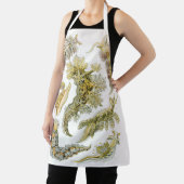 Tablier Boues de mer par Ernst Haeckel, Nudibranchia Vinta (Insitu)