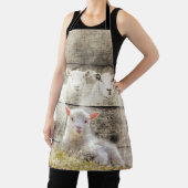 Tablier Brûlure d'agneau de bébé à mouton rustique (Insitu)