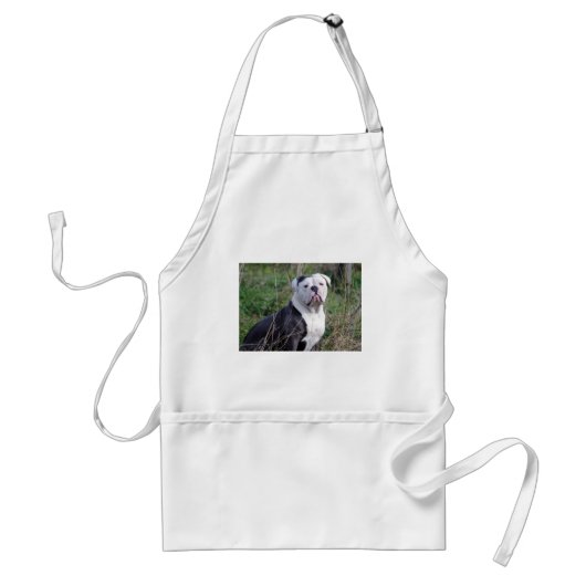 Tablier Bulldog anglais (Devant)