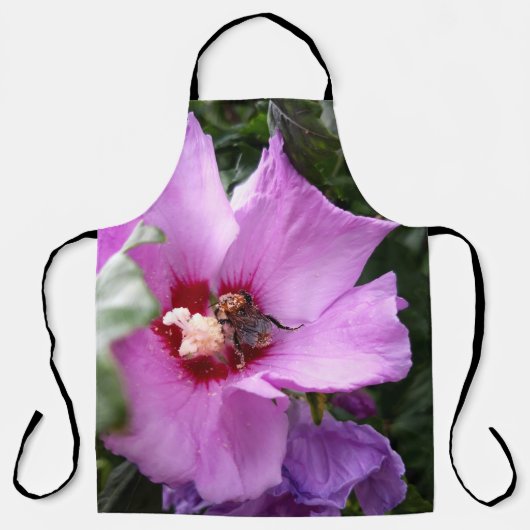 Tablier Bumblebebe sur la fleur d'Hibiscus (Recto)
