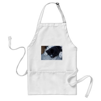 Tablier Cadeaux précieux de Landseer Terre-Neuve