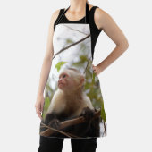 Tablier Capucin, singe du Costa Rica (Insitu)