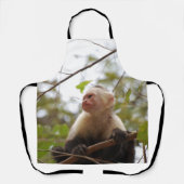 Tablier Capucin, singe du Costa Rica (Recto)