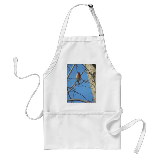 Tablier Cardinal Femme/Oiseau (Devant)