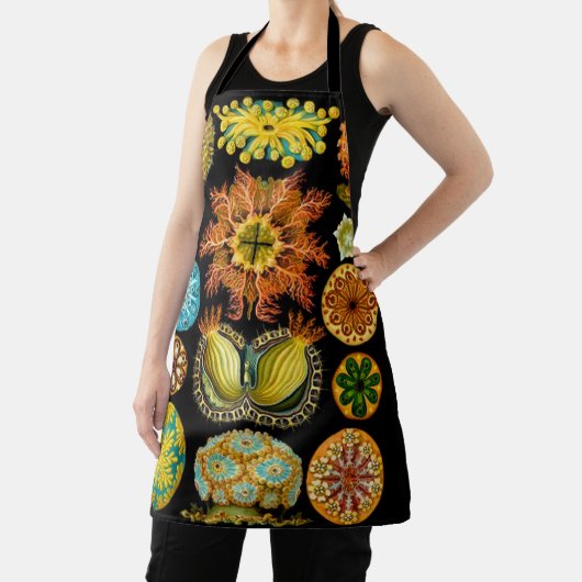 Tablier carte des créatures marines (Insitu)