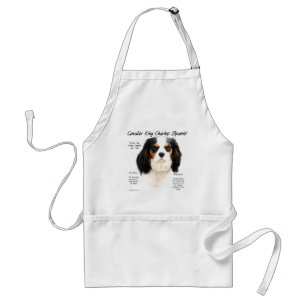 Tablier Cavalier King Charles Spaniel (tricolore) Histoire