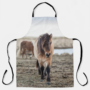 TABLIER CES CHEVAUX SONT TRÈS SUCRÉS ET INQUISITIFS
