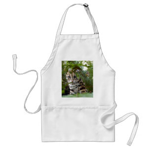 Tablier Chat 022 du Bengale