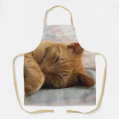 Tablier Chat à gingembre couché (Recto)