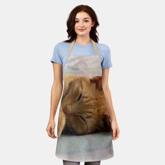 Tablier Chat à gingembre couché (Porté)