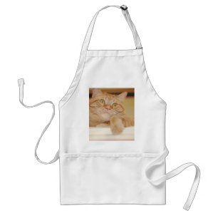 Tablier Chat Tabby Orange