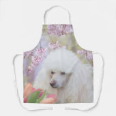 Tablier Chien de caniche sur l'aire de trafic (Recto)