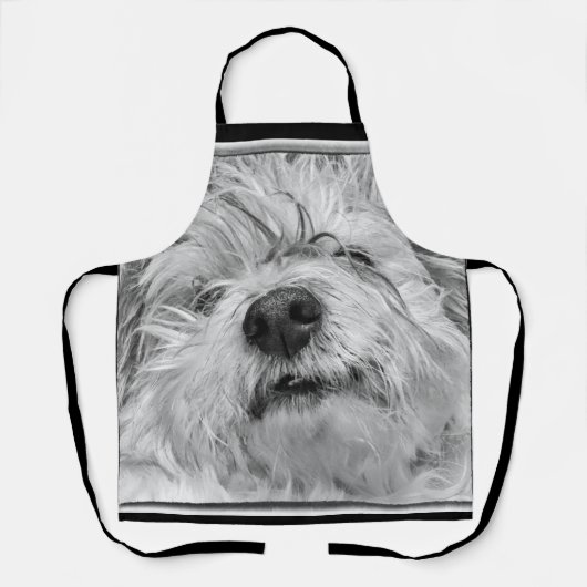 Tablier Chien de Coton de Tulear (Recto)