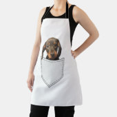 Tablier Chien de poche Dachshund (Insitu)
