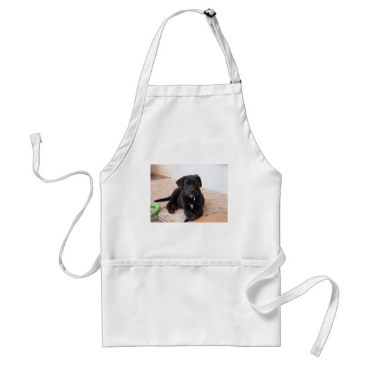 Tablier Chiot de récupération Black Labrador (Devant)