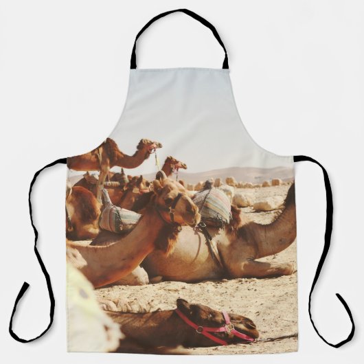 TABLIER CINQ CAMELS SUR LE TERRAIN (Recto)